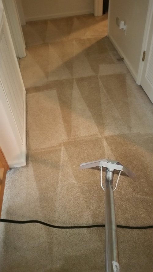 Triad Power Clean job photo