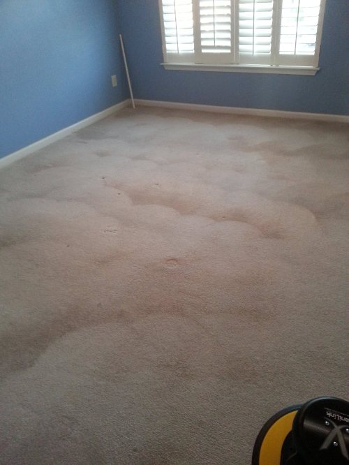 Triad Power Clean job photo
