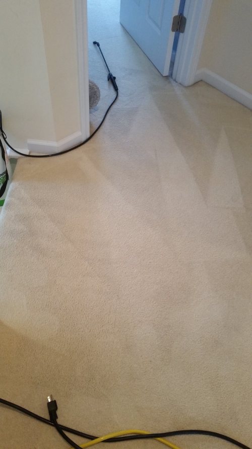 Triad Power Clean job photo