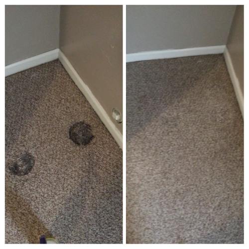 Before and after cleaning