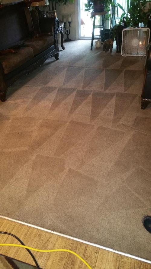 Triad Power Clean job photo