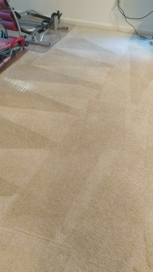 Triad Power Clean job photo