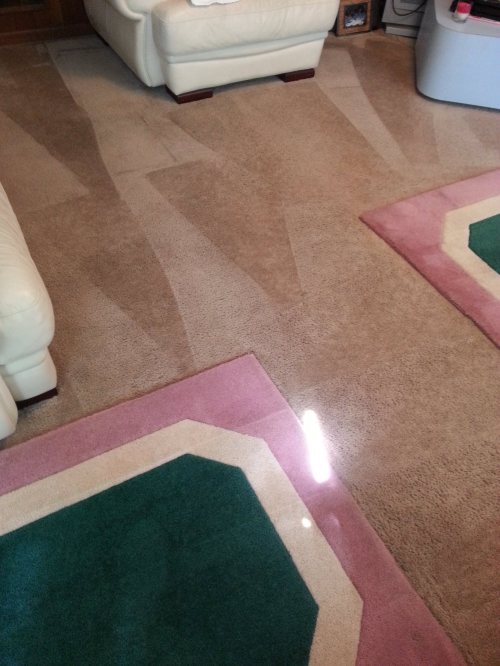 Triad Power Clean job photo