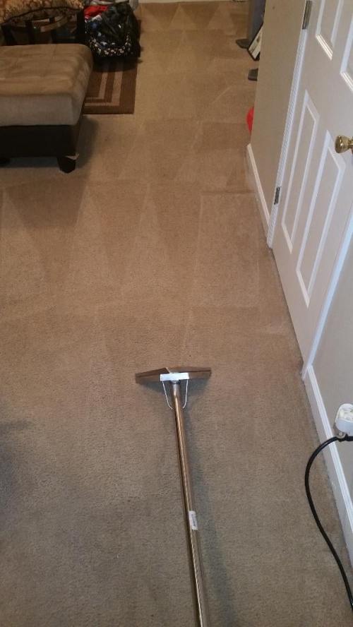 Triad Power Clean job photo