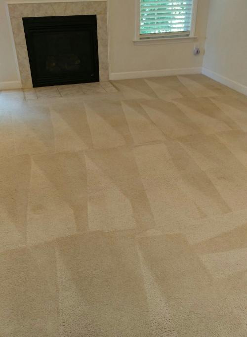 Triad Power Clean job photo