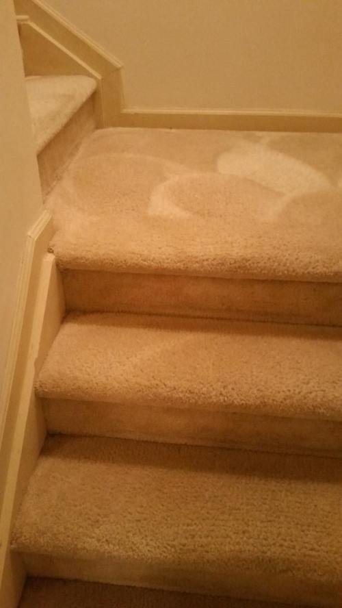 Triad Power Clean job photo