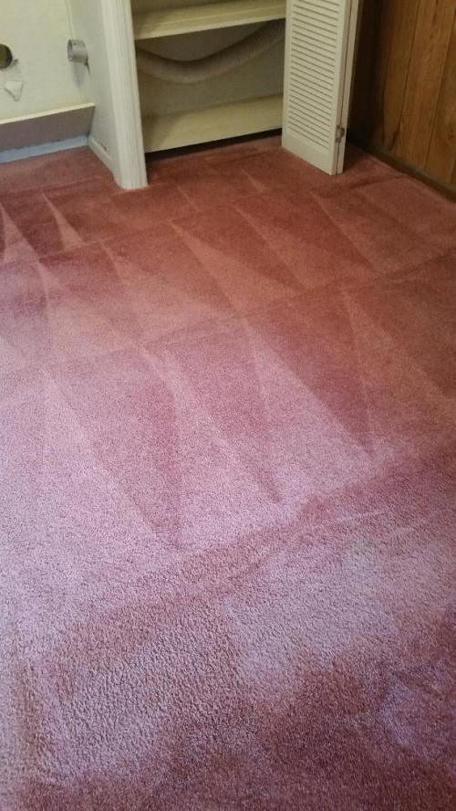Triad Power Clean job photo