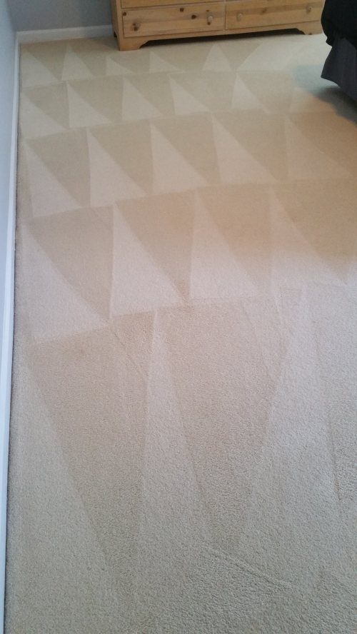 Triad Power Clean job photo