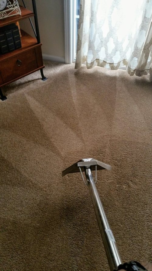 Triad Power Clean job photo