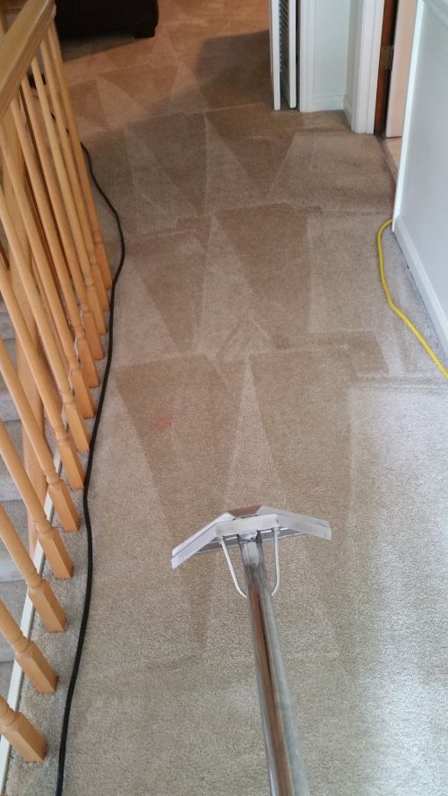 Triad Power Clean job photo
